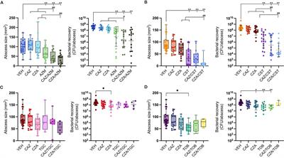 Using host-mimicking conditions and a murine cutaneous abscess model to identify synergistic antibiotic combinations effective against Pseudomonas aeruginosa